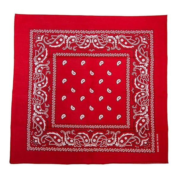 Made in Texas Paisley Bandana