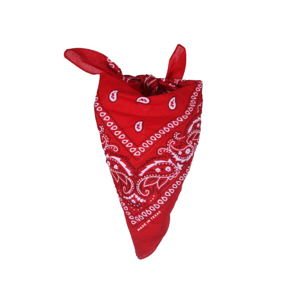 Made in Texas Paisley Bandana