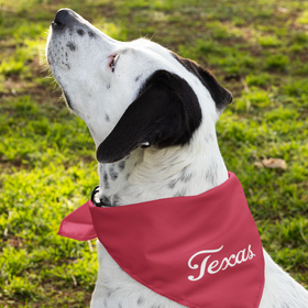 Texas Script Bandana