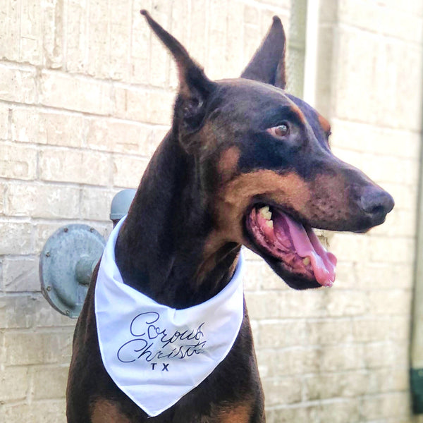 Corpus Christi Bandana