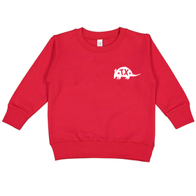 Youth Armadillo Sweatshirt